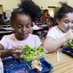 纽约揭示首次路线图来革新食品教育在公立学校